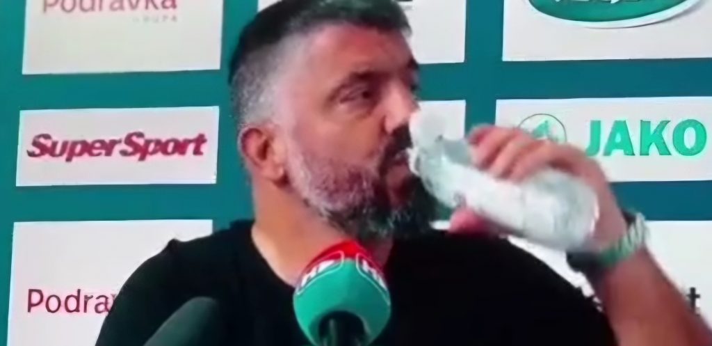 DISGUSTO GATTUSO