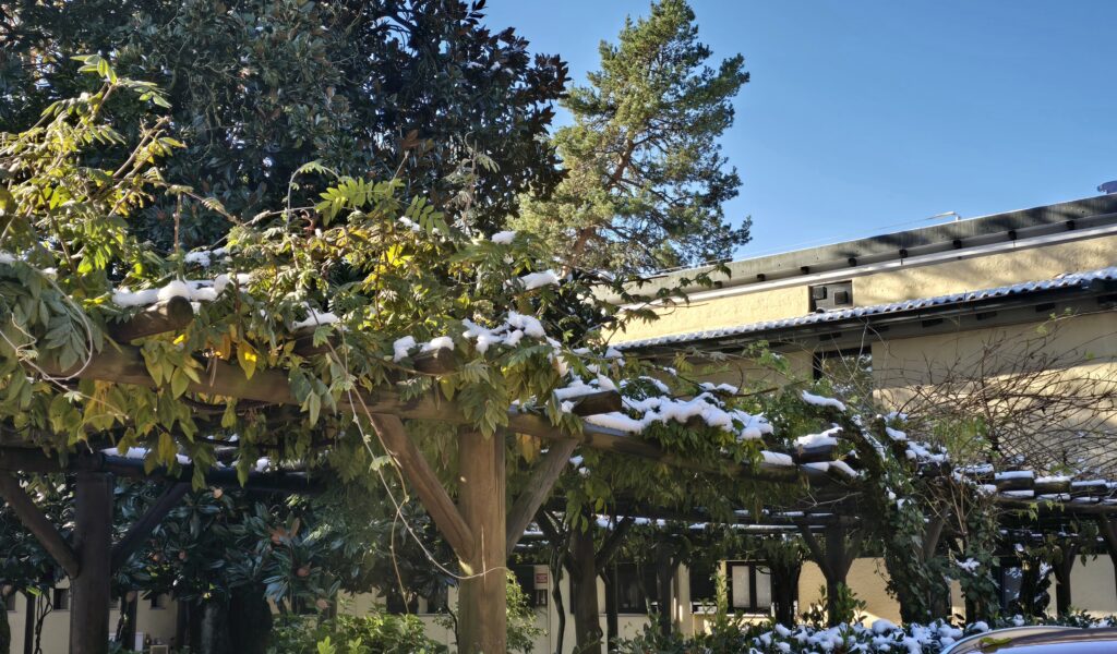 NEVE MILANELLO