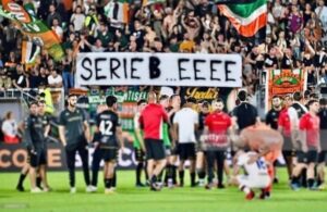 SERIE BEEE