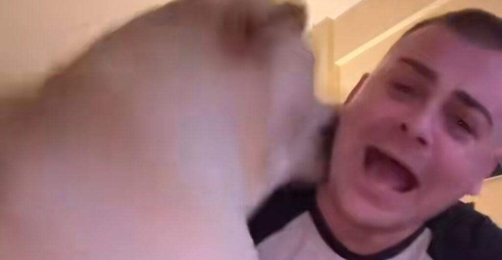 CANE
