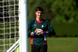 Donnarumma Torriani