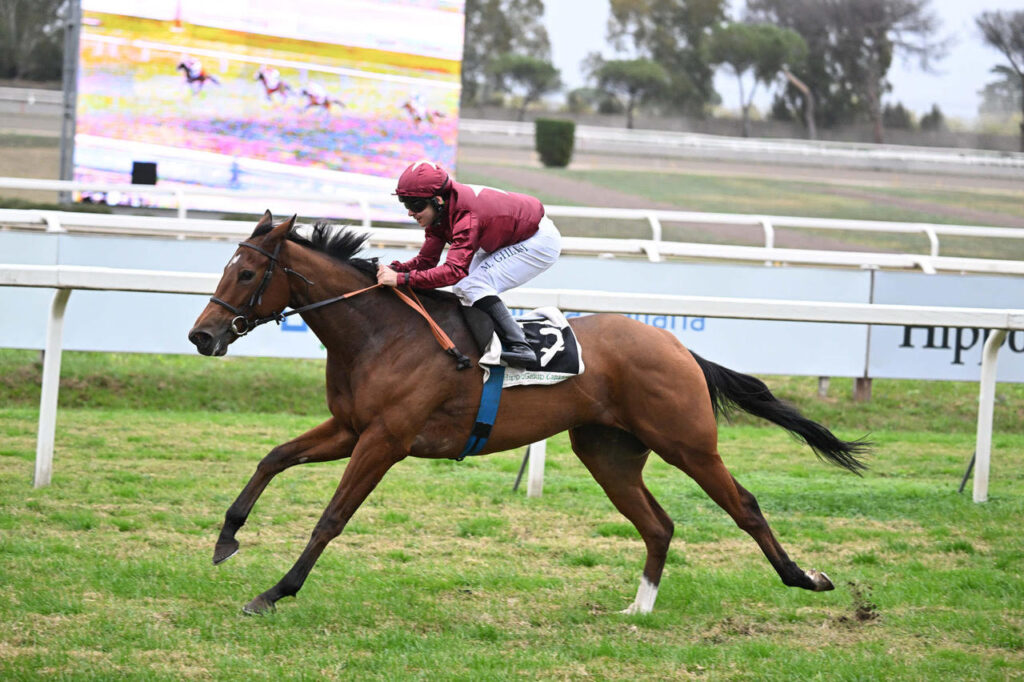 max-allegri-trionfa-allippodromo-capannelle-