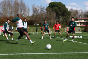 marco-simone-milan-torino-leao-pulisic